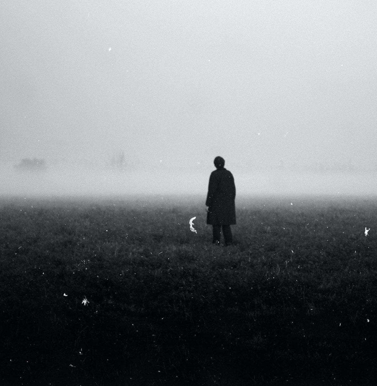What are the 15 Best French Horror Films?