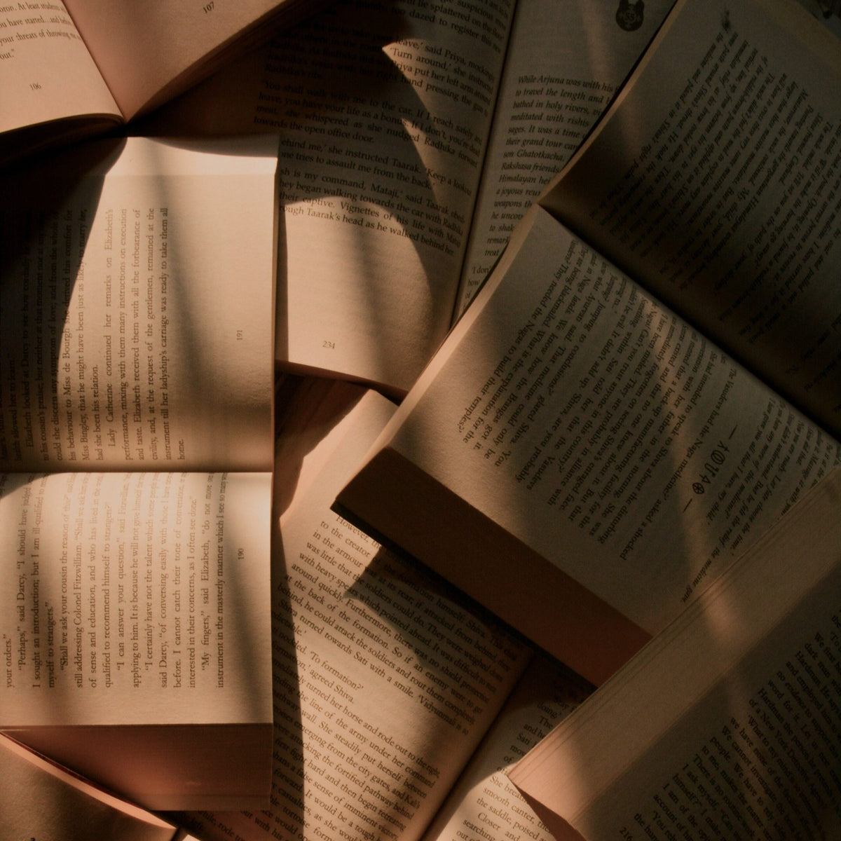 Our Favorite French Reads