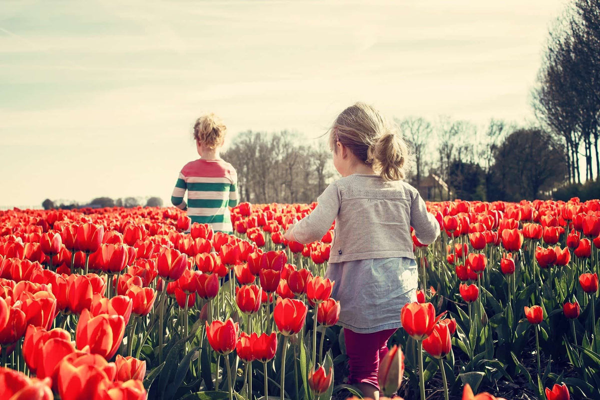 The Top 9 French Clothing Brands for Kids