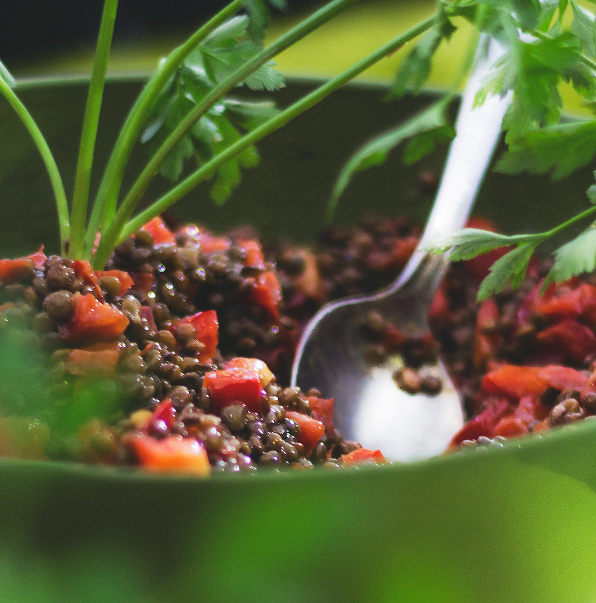 The Most Delicious Vegetarian and Vegan French Recipes